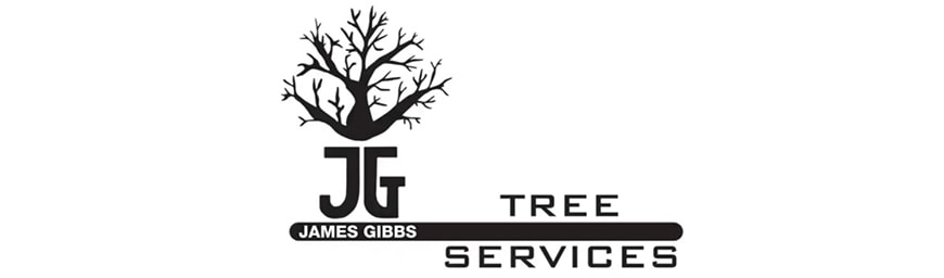 JG trees - Client of MoMac