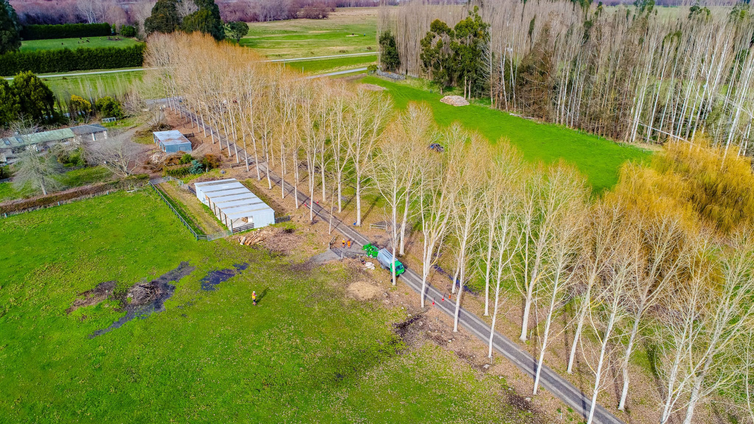 JG Trees MoMac Socialising Media