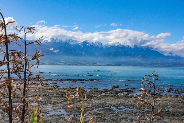 kaikoura_new_zealand_photography_nz_photographer_momac_socialising_media_small_1-min