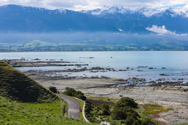 kaikoura_new_zealand_photography_nz_photographer_momac_socialising_media_small_10-min