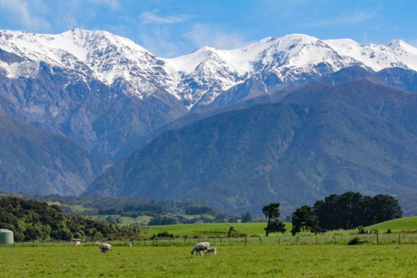 kaikoura_new_zealand_photography_nz_photographer_momac_socialising_media_small_2-min