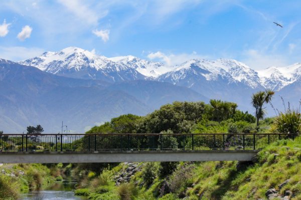 kaikoura_new_zealand_photography_nz_photographer_momac_socialising_media_small_3-min