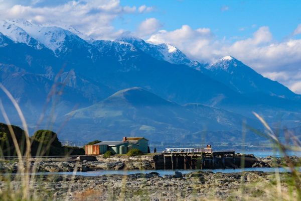 kaikoura_new_zealand_photography_nz_photographer_momac_socialising_media_small_5-min