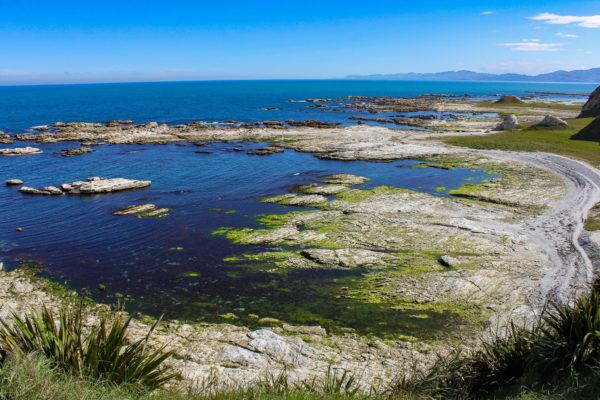 kaikoura_new_zealand_photography_nz_photographer_momac_socialising_media_small_9-min