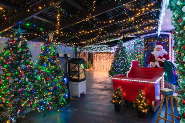 north_canterbury_christmas_lights_momac_22_12_2021_Small_29-min