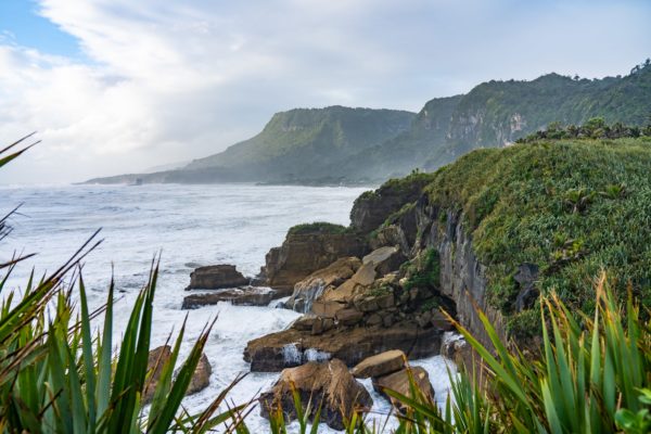 Fox Hut West Coast, New Zealand nature walks photographed by MoMac