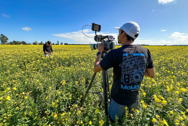 A MoMac videographer filming a company in a flower field in Christchurch