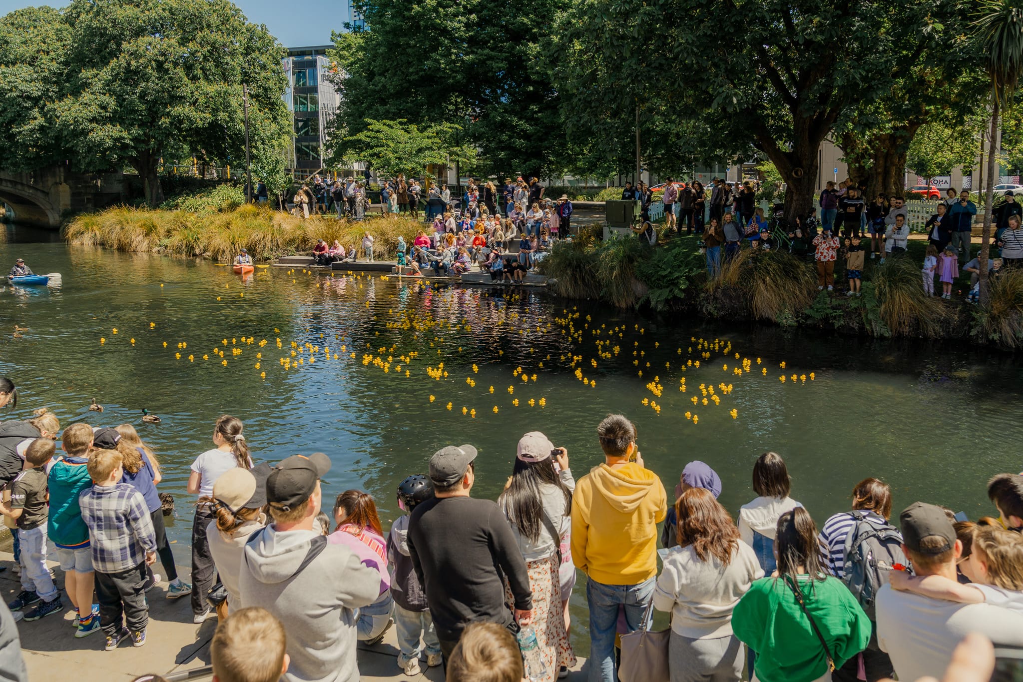 MoMac Gets Quacking for Charity