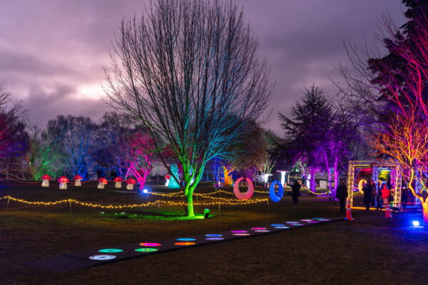 Matariki_and_Kaiapoi_Lights_Festival_2026_Small_50